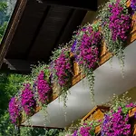 Kirchenwirt Guest house 3*