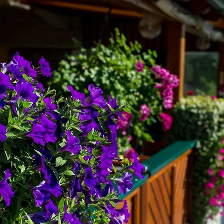 Kirchenwirt Guest house